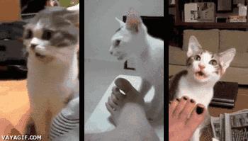 “男朋友的脚堪比生化*器武**!我得治治他!”