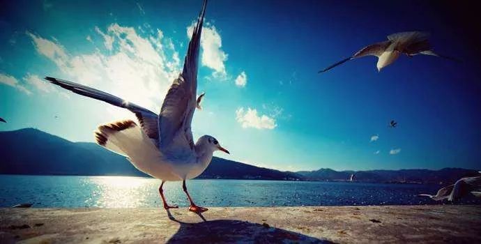 什么地方可以坐高铁去泰国,从中国坐高铁去泰国