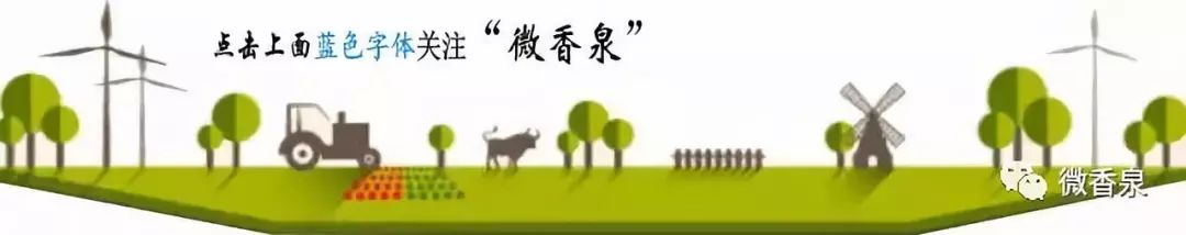 【媒体看香泉】高科技产业精准扶贫靠什么——扶贫点上看变化之安定区篇