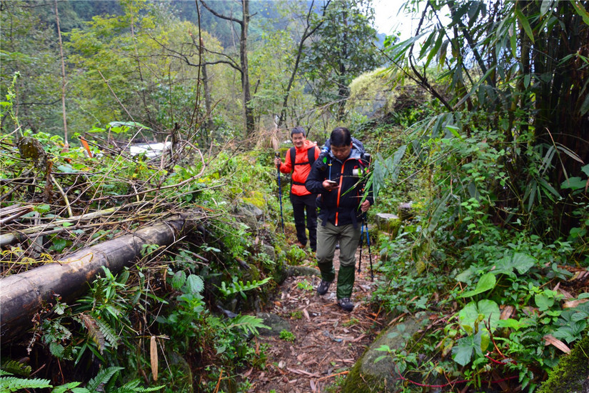十大非著名山峰哪座山好玩,中国十大非著名山峰韭菜岭