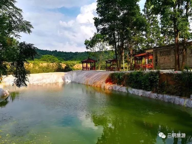 集装箱式民宿推荐,福建特色树屋民宿度假屋结构