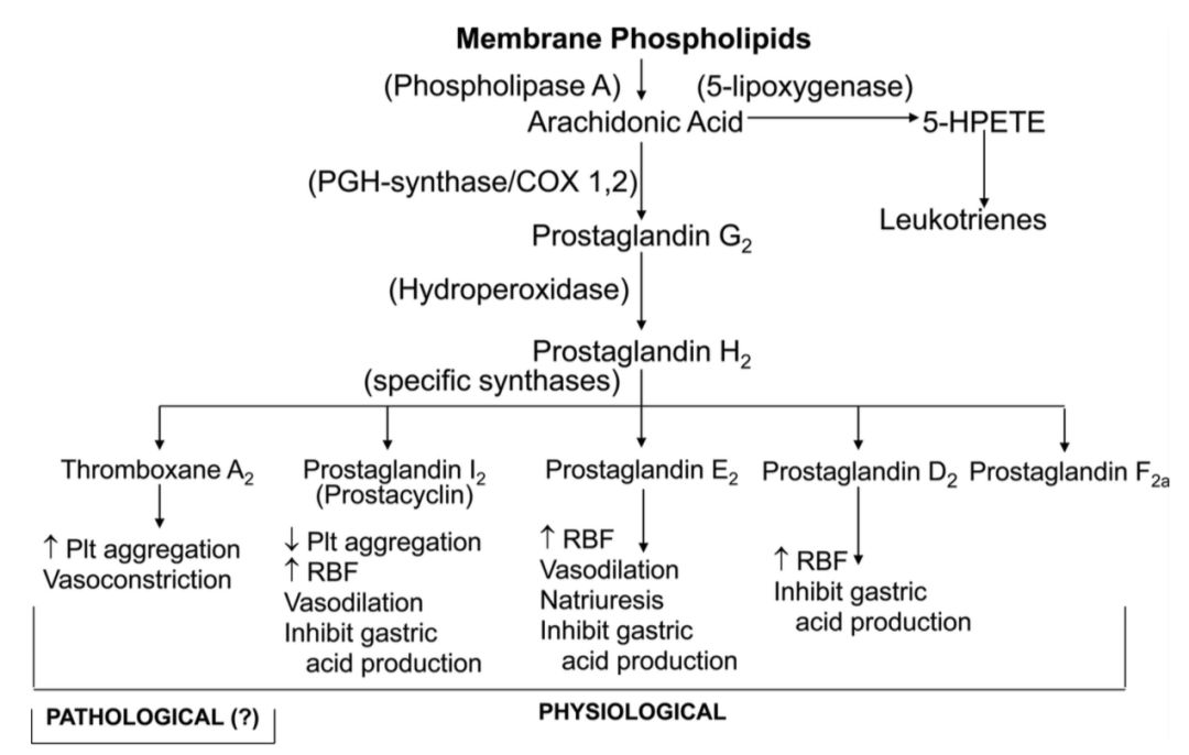 阿司匹林问世后拯救无数患者,阿司匹林抗癌大揭秘