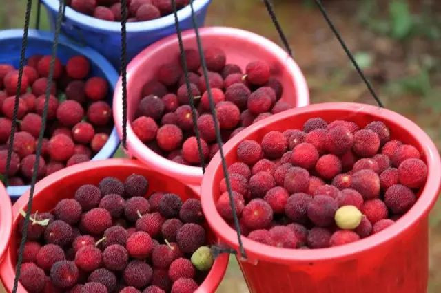 戳心窝的春城日常生活，625万昆明人边看边哭！