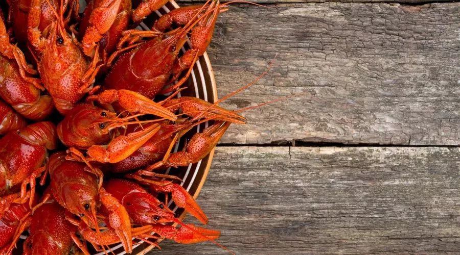 没有食物能防癌10条谣言,酵素能抗癌防癌吗