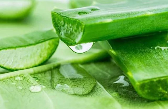 把洗衣机的残渣污垢排出来,洗衣机的洗涤盒的水垢