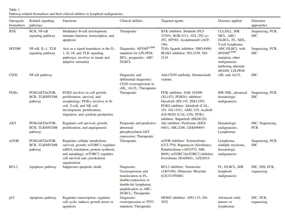 淋巴瘤基因检测靶向治疗,淋巴瘤靶向治疗一次多少钱