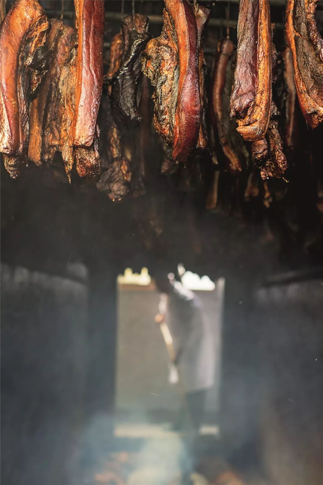 猪猪日常是怎样的,猪猪是怎么制定学习计划