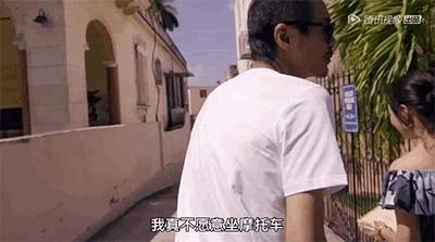 为什么朴树这么火,为什么朴树价格这么高