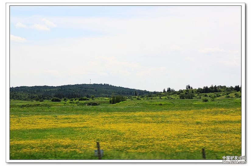 克什克腾白音敖包景区门票,克什克腾白音敖包二道河子景区