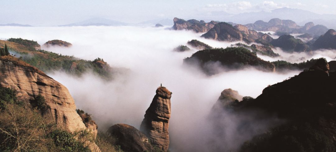 佛山机场有直飞上海的吗,最新佛山机场直飞航班信息