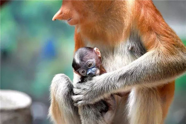 都别劝我！这个假期我哪也不去！就在广州也能玩到嗨起……