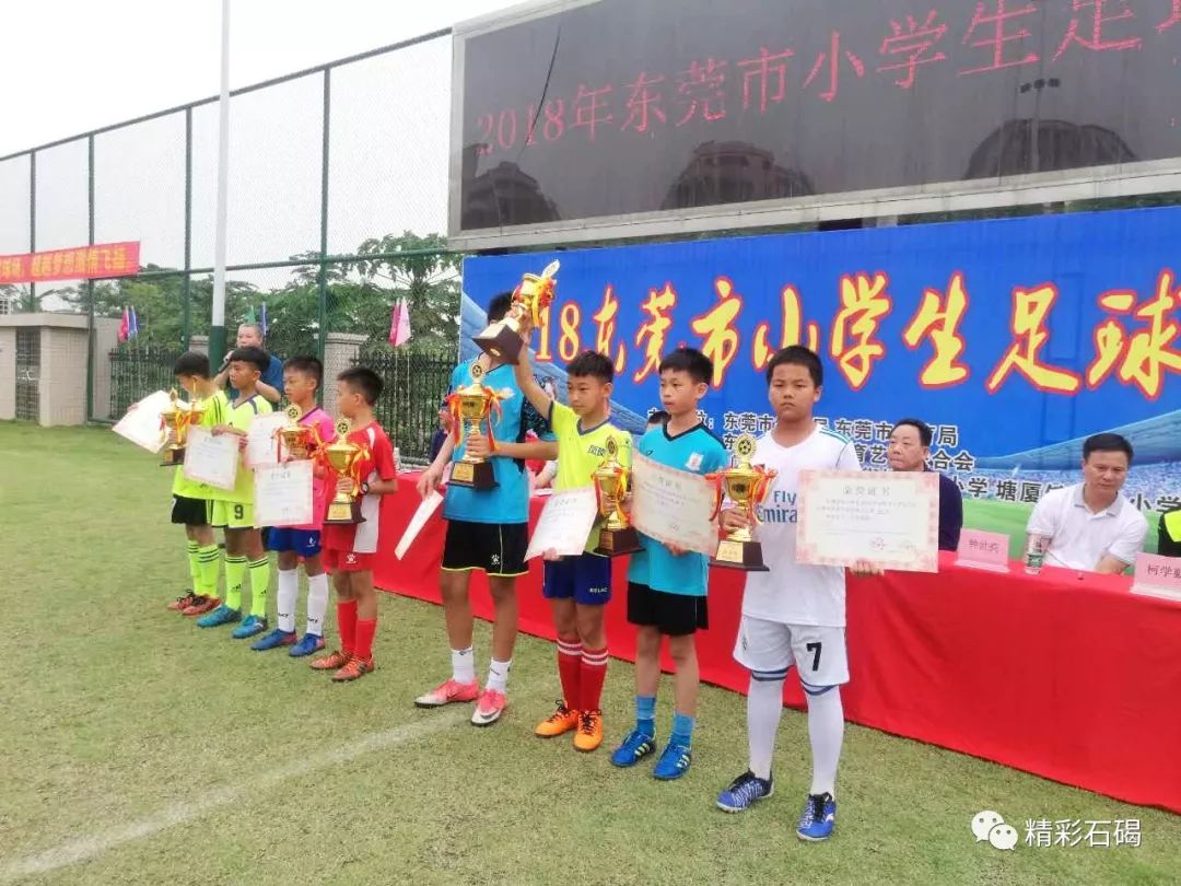 广东省校园足球推广学校名单公示,东莞市第三批品牌学校名单