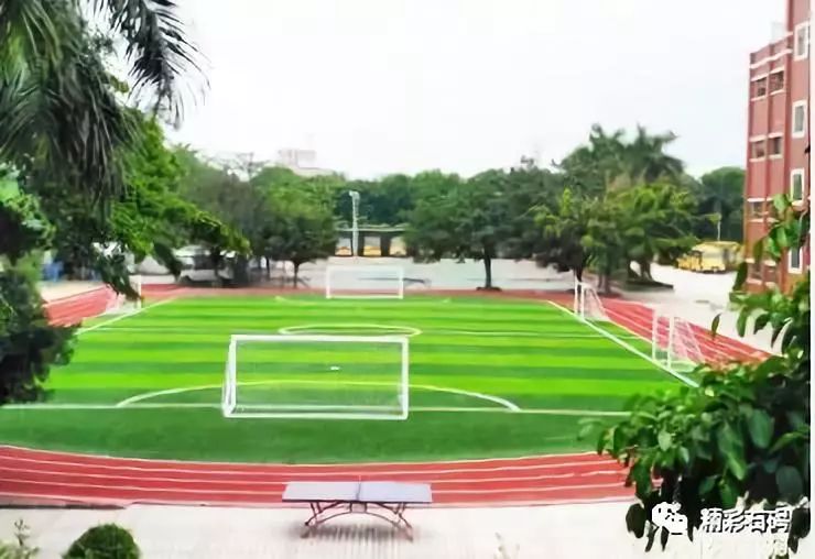 东莞足球特色小学校排名前十,2021全国特色足球学校东莞市