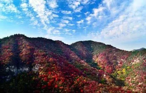 兄dei，你有一份最美赏红叶推荐请注意查收