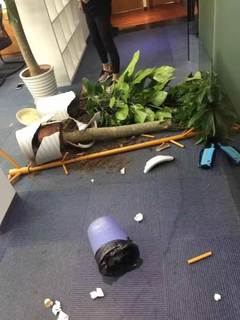 点融网郭宇航,点融老板郭宇航和郭振洲什么关系