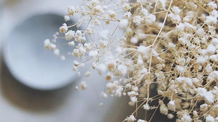 40年沧海桑田40年砥砺前行,40年40首歌哪一首最让你感动