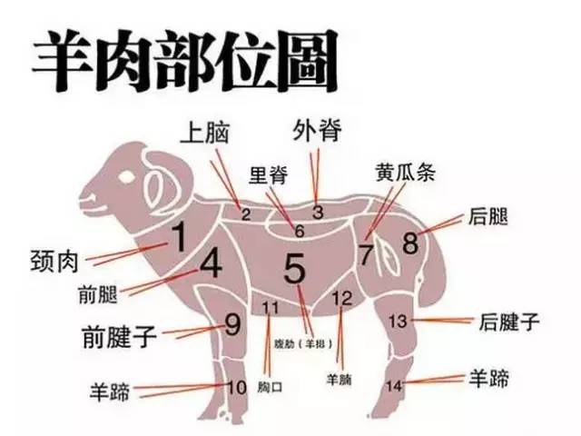 羊分割部位图高清,羊胴体分割详细分解