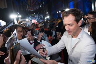 神奇动物在哪里首映礼,神奇动物在哪里首映礼全部视频