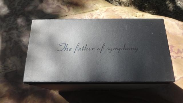 山进海顿迷你音箱收音机柔曼细音浸入耳