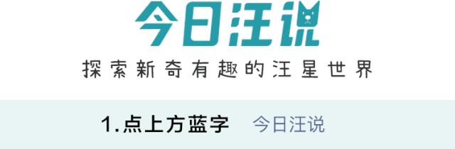 为什么新婚不能带狗,结婚要带狗吗