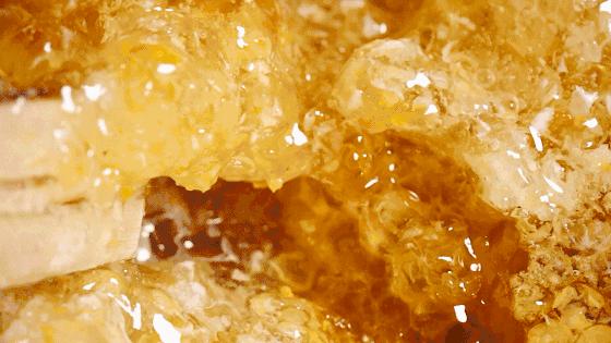 网曝同仁堂过期蜂蜜,北京同仁堂过期蜂蜜事件处理结果