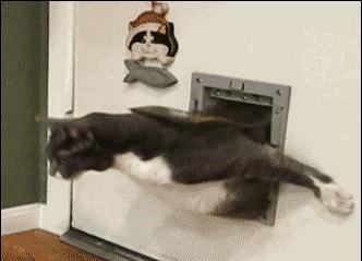 为什么键盘字母排列顺序是这样的,键盘上的abcd和qwerty