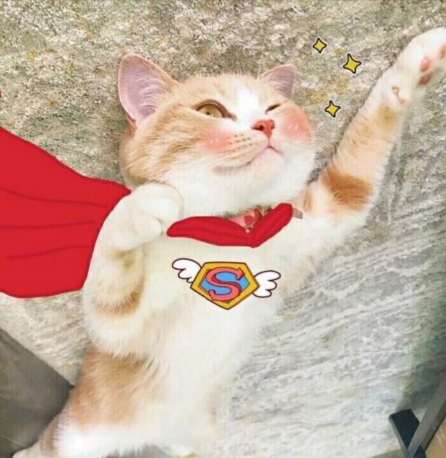 我的王者故事：男朋友？不存在的，我只要王者荣耀！