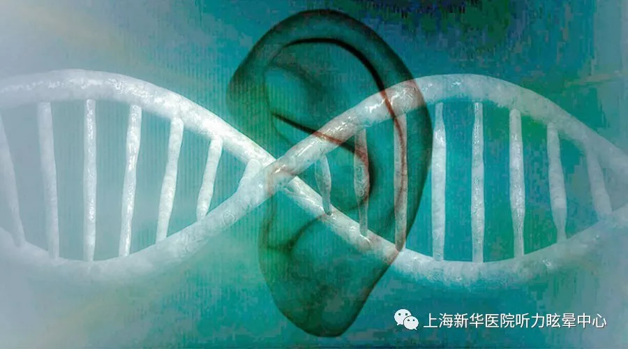 遗传性耳聋怎样可以不遗传下一代,遗传性的耳聋是怎么引起的