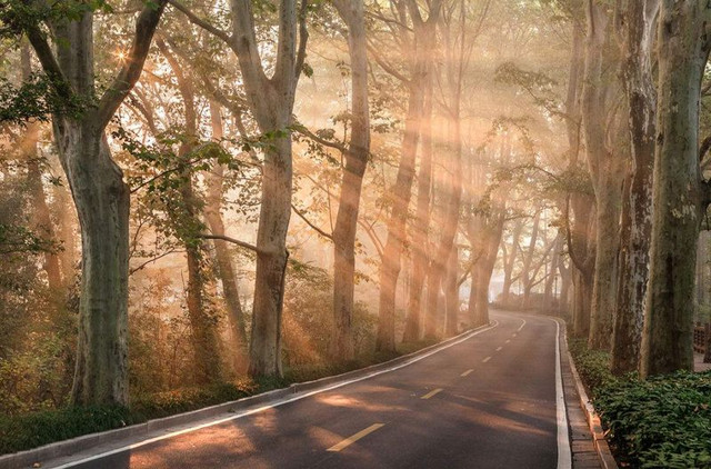 南京最美赏秋地点,南京赏秋之旅