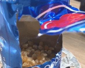 给跪了！在办公室用公司饮水机煮火锅，奇葩网红还用各种工具烹饪食物……这种脑洞大开要不得！