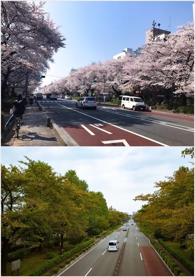 日本人看东京的感受,日本人在中国的感受