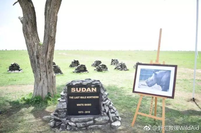 閲庣敓鍔ㄧ墿瑙ｇ,瑙ｇ閲庣敓鍔ㄧ墿