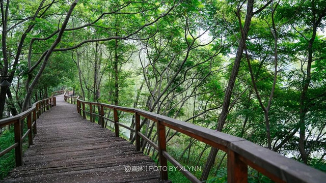 羊驼陪吃早餐，天鹅湖中畅游，藏身北京奥森旁的休憩之地：在之禾