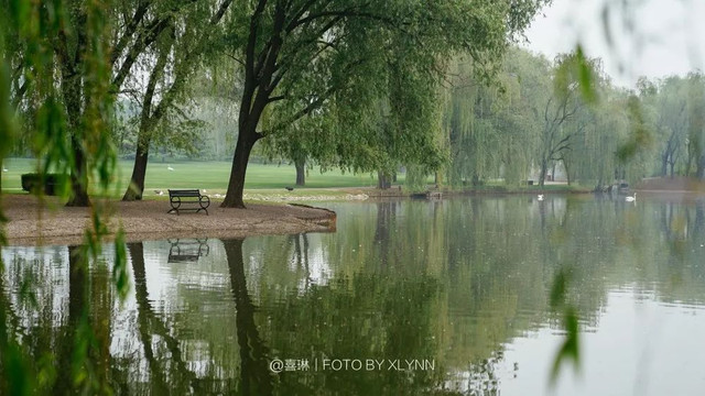 羊驼陪吃早餐，天鹅湖中畅游，藏身北京奥森旁的休憩之地：在之禾