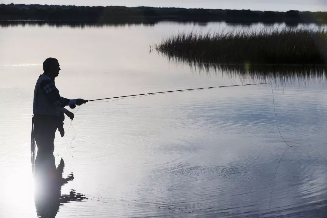 晨读别让人生输给心情,晨读你对生活的态度决定你的心态