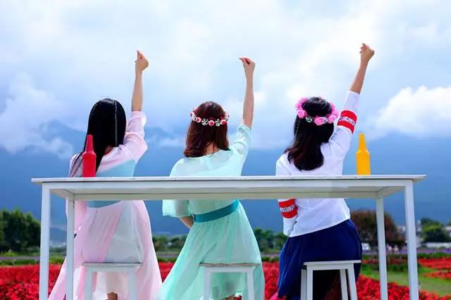 大理云海花海,大理花海漫步