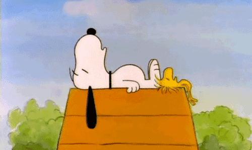 肠息肉就一定得手术掉吗,肠息肉切后几年不复发才免检