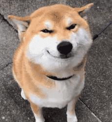 电商模特拍照训练营教程,电商摄影拍摄衣服技巧