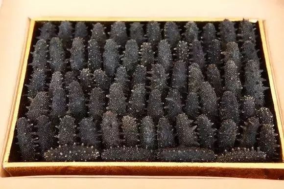 神奇的海参!女人不老、男人不虚,延年益寿,现在知道还不晚……