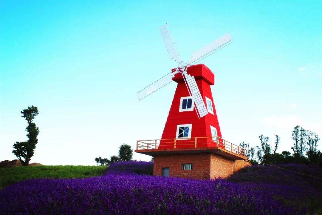 云南弥勒春节有哪些活动,2019弥勒大型活动