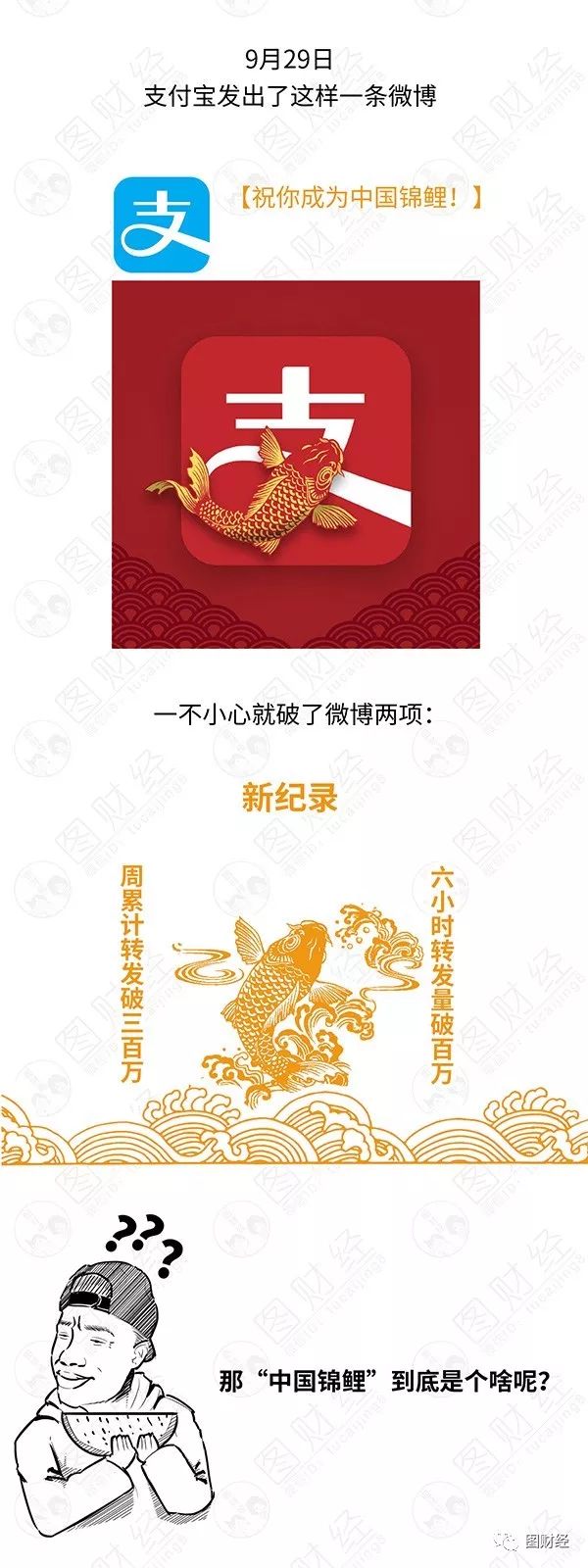 大棚养殖锦鲤,宜兴锦鲤养殖