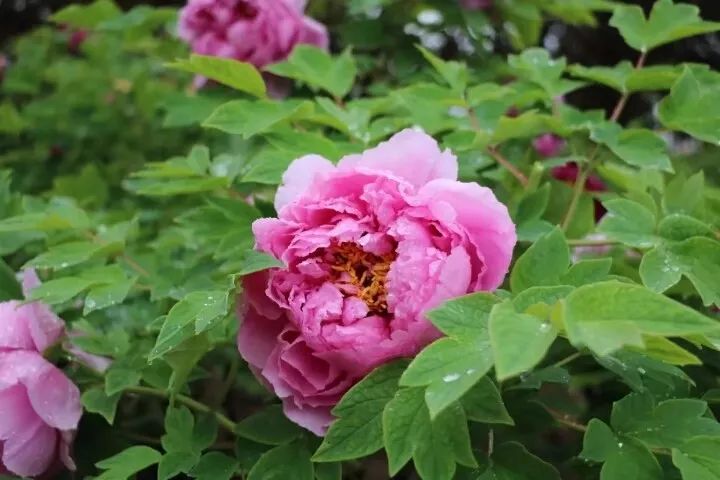 蹇湅涓囪揪骞垮満,涓囪揪骞垮満寮哄娍鏉ヨ