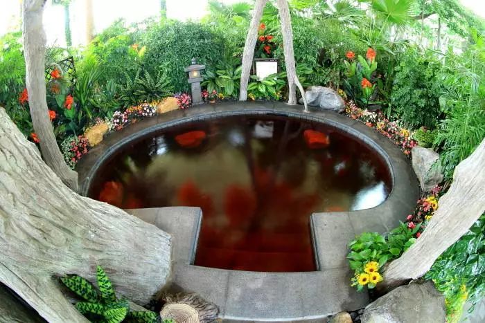 松江区比较好的酒店,上海松江高档温泉酒店