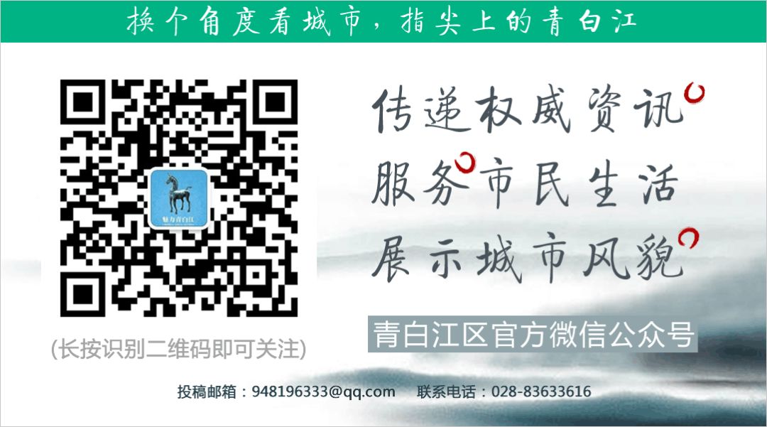青白江人力资源9月最新招聘信息,青白江教师招聘网最新招聘