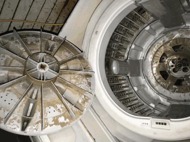 洗衣机污垢和霉菌,洗衣机加水有厕所味儿