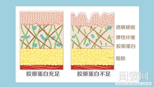 蜂王浆精华的作用与功效,蜂王浆精华效果怎么样