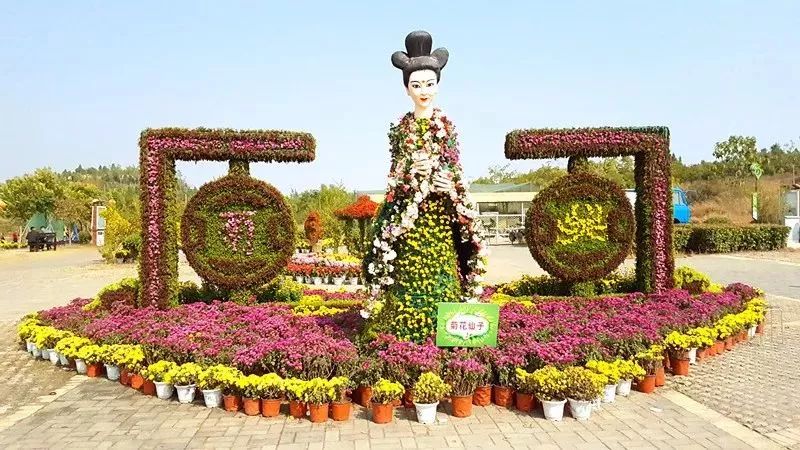 徐州秋景哪个地方最好看,徐州周边赏秋景的地方