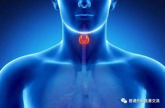 不懂的医生能从ct看出舟状头吗,看不明白甲状腺报告单