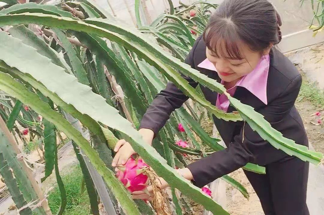 韵味长沙优惠套餐,游玩特价宁乡