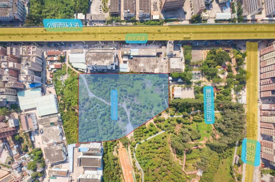 深圳市公租房人才房的申请条件,深圳人才房和公租房区别